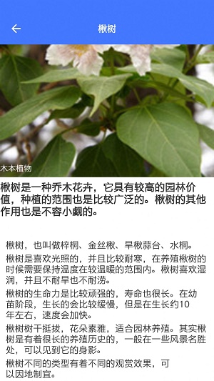 好用拍照识别截图