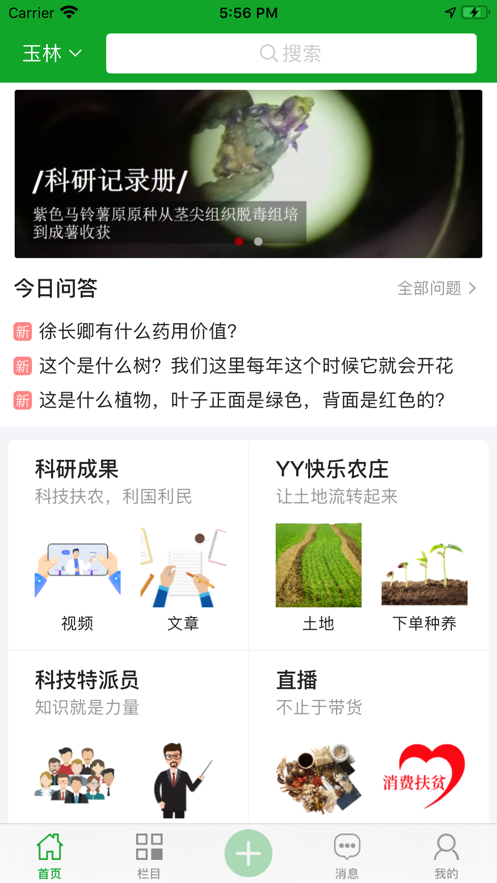 中药香截图