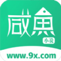 咸鱼小说