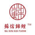 苏信锦鲤咯
