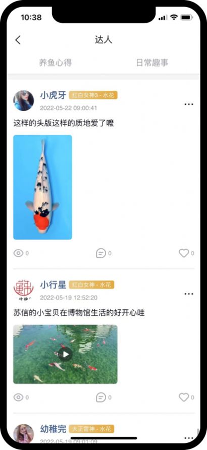 苏信锦鲤咯