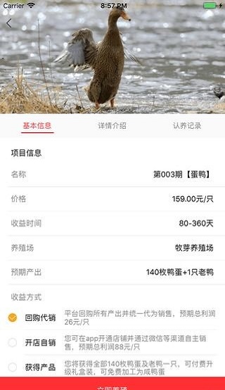 网小鸭截图