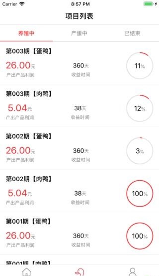 网小鸭截图