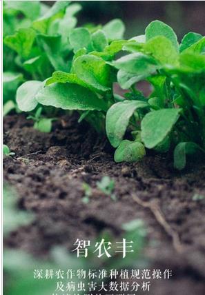 智农丰截图