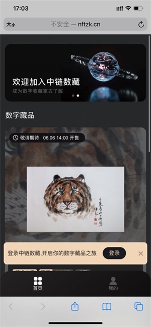 中链数藏