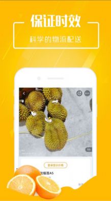 市政淘果截图