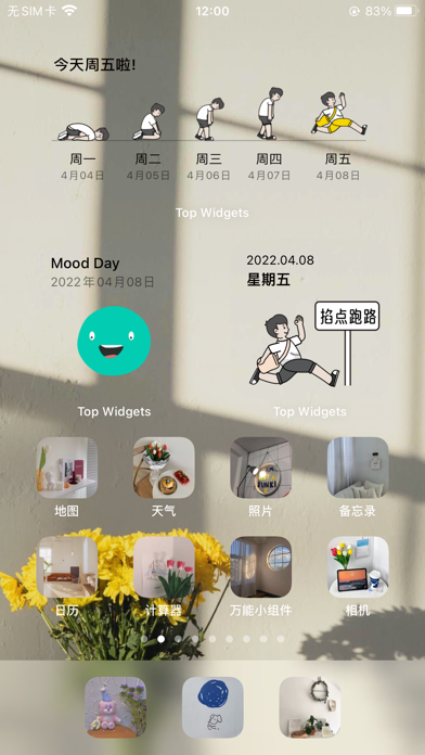 Top Widgets截图