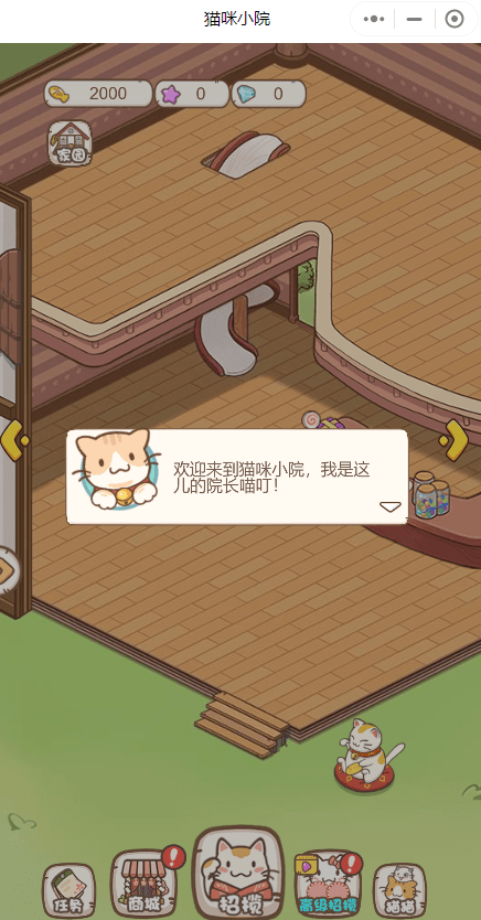 猫咪小院截图