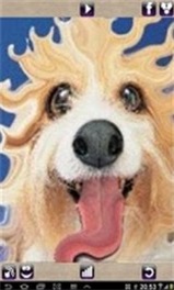 面部扭曲截图